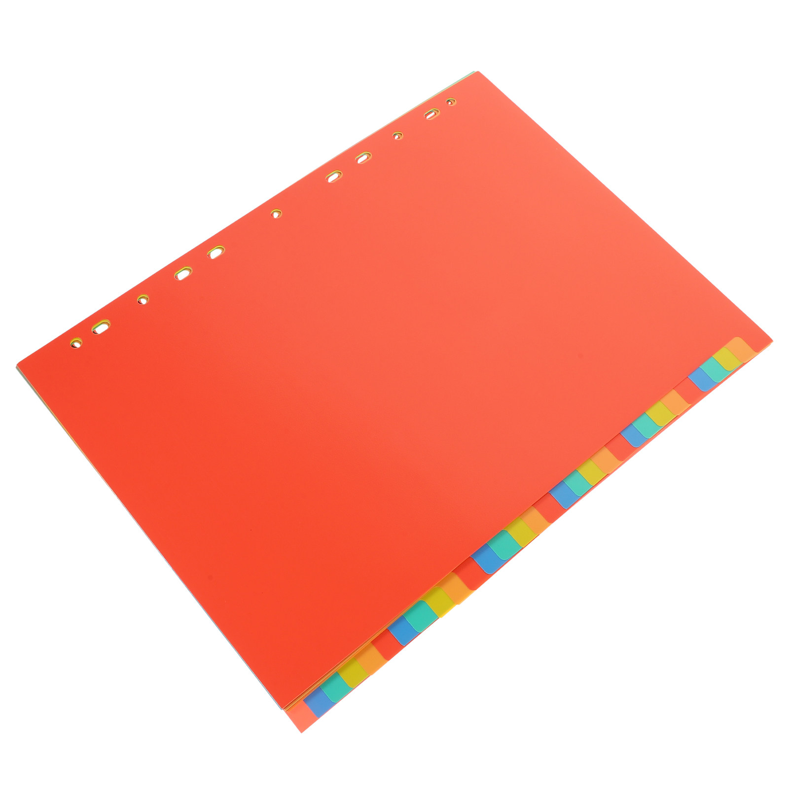 31枚のA4強化バインダー紙仕分け板、透明なタブ付き、効率的 - Tab Divider A4 のレビューと価格