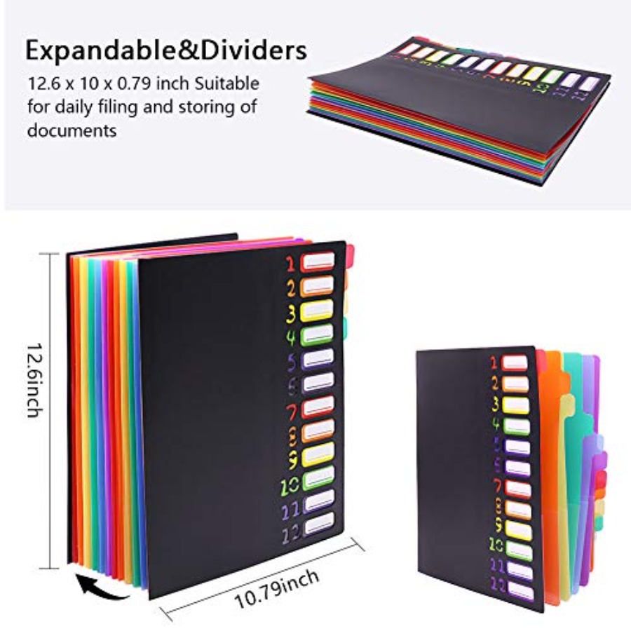 Edufun レインボータブ拡張ファイルフォルダー - 24 - Tab Divider A4 のレビューと価格