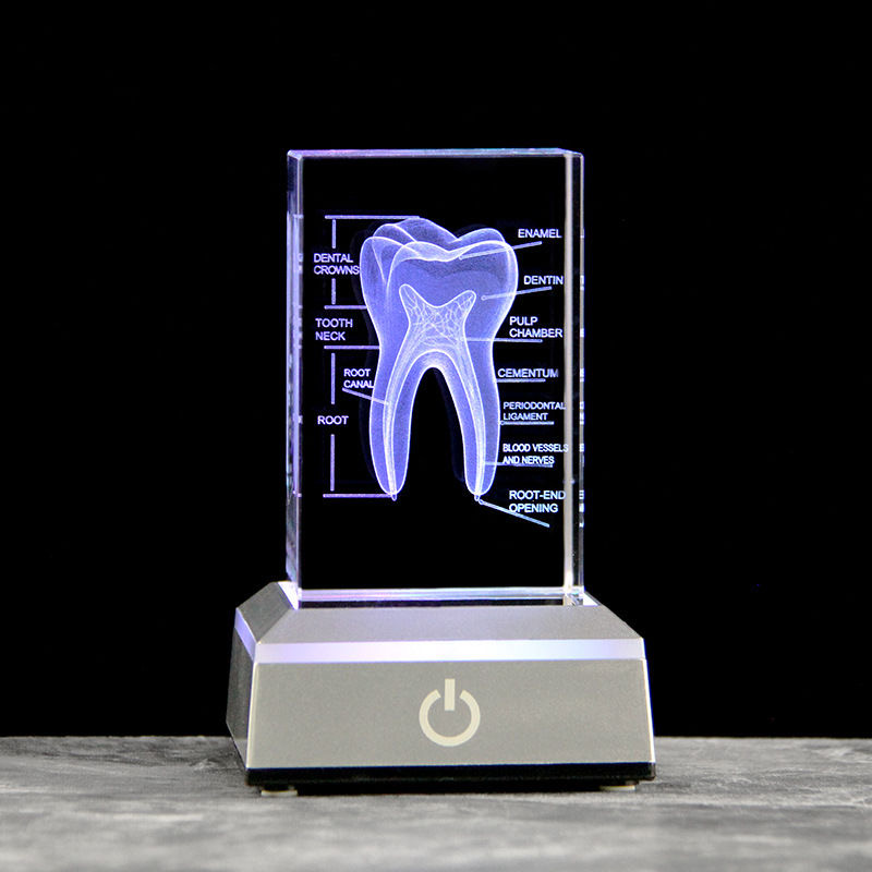 歯科 3D レーザー彫刻人間の骨格クリスタルキューブ置物医療 - Paper Weight Crystal のレビューと価格