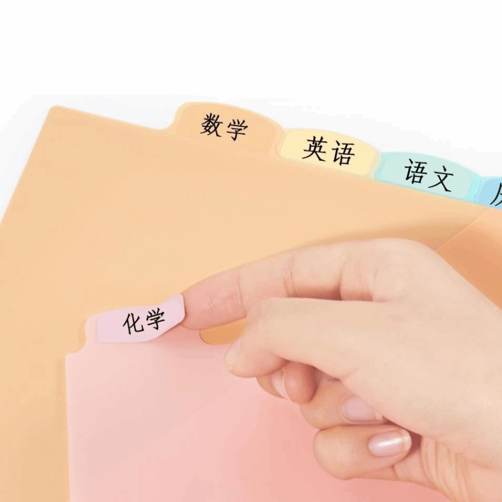 8 個の耐久性のある A4 パステルバインダーディバイダー  - Tab Divider A4 のレビューと価格